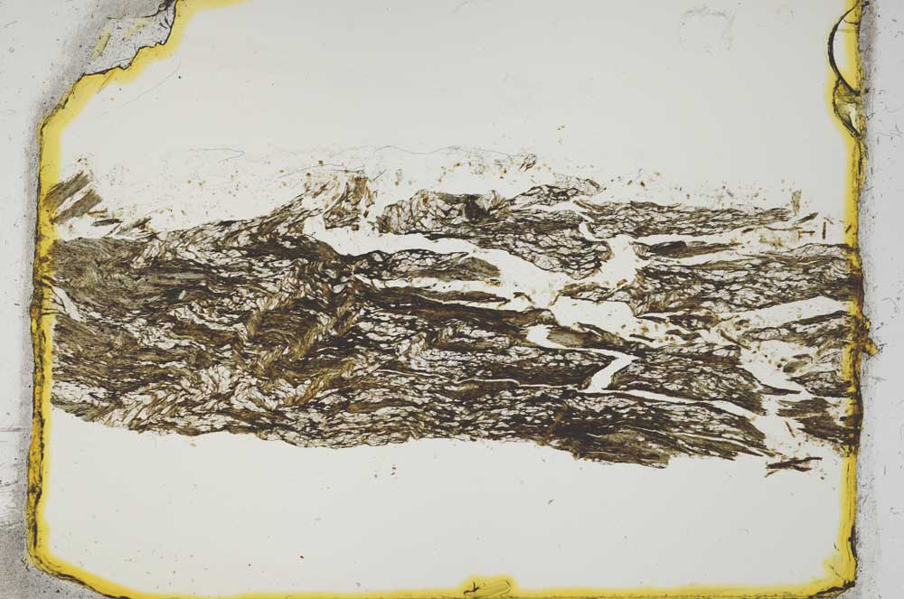Plane Polarized, S2074