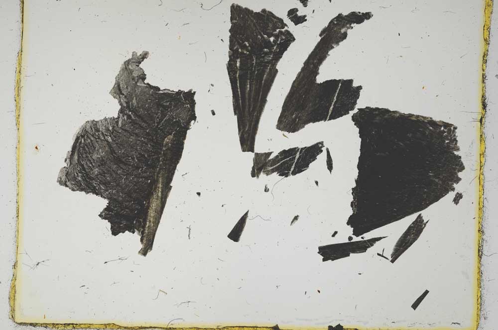 Plane Polarized, S2091