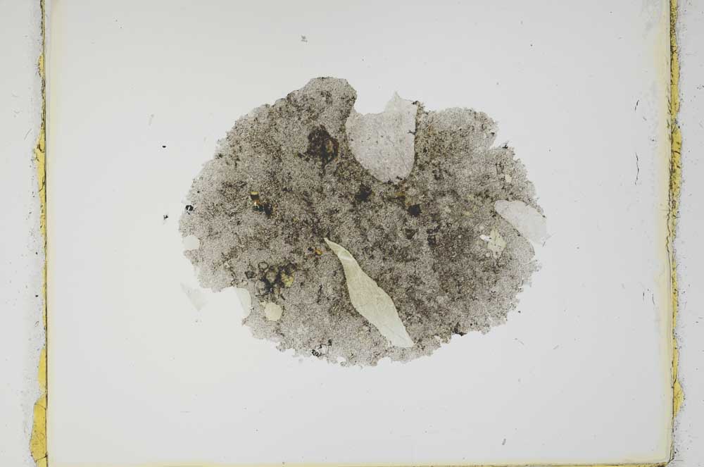 Plane Polarized, S2111