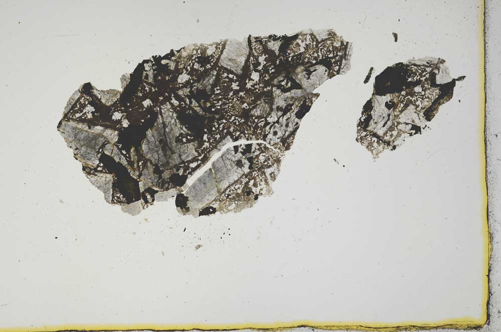 Plane Polarized, S2133