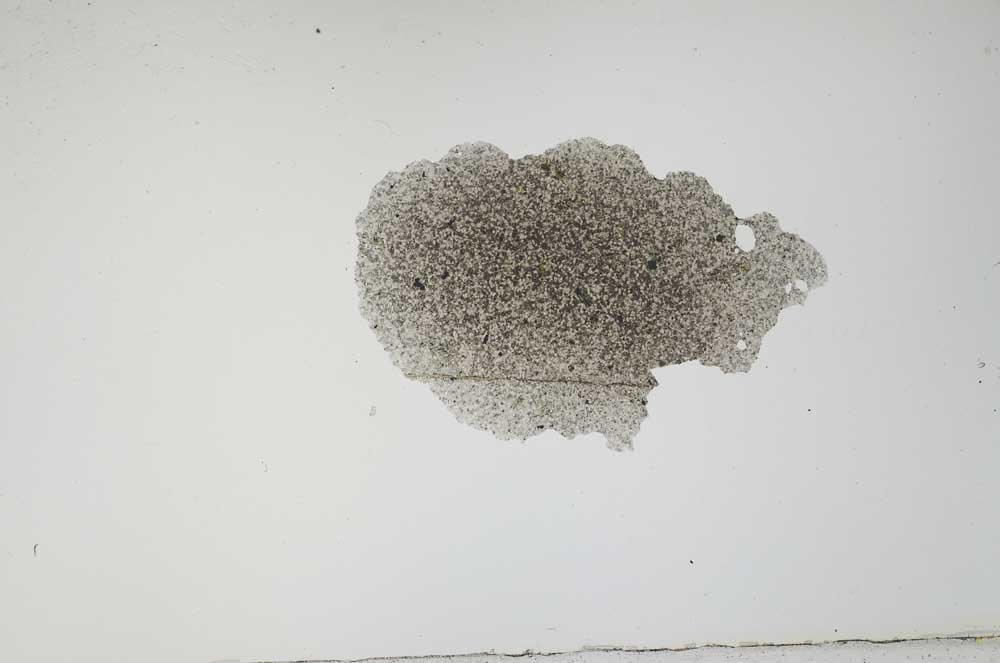 Plane Polarized, S2134