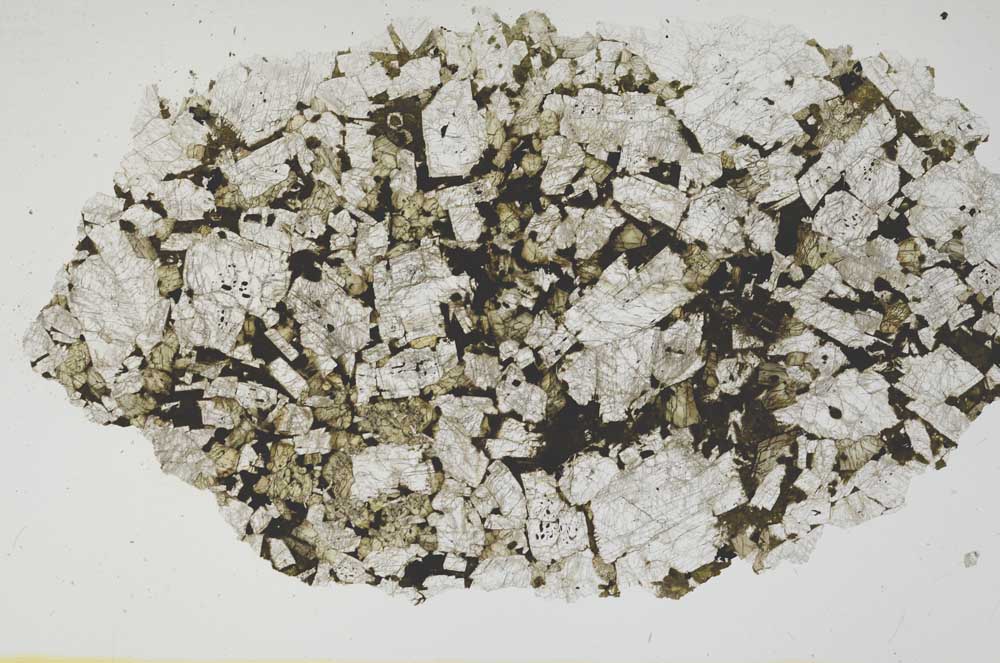 Plane Polarized, S2135