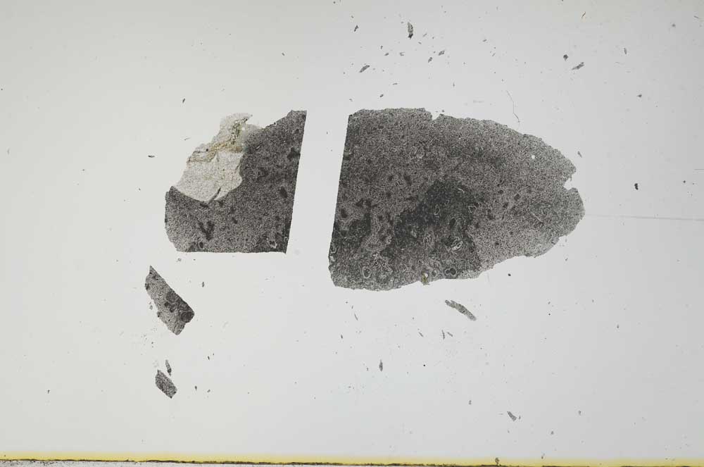Plane Polarized, S2143