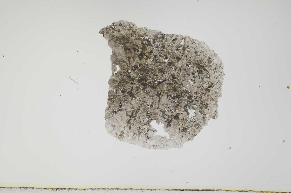 Plane Polarized, S2144