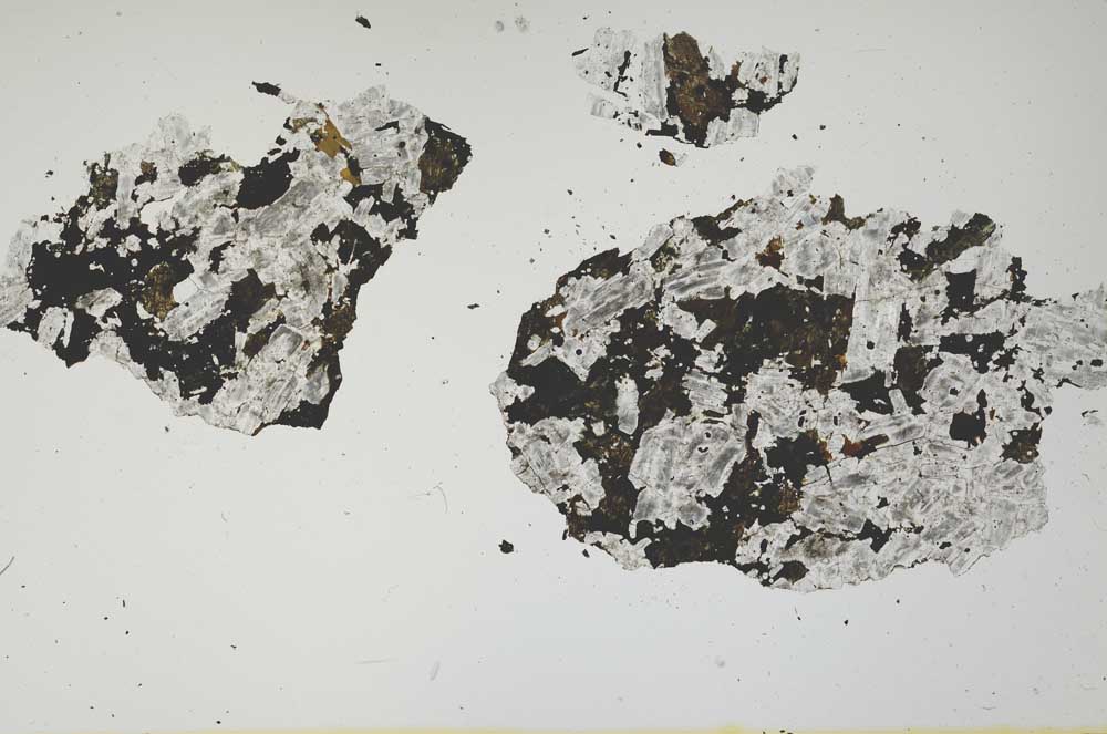 Plane Polarized, S2153