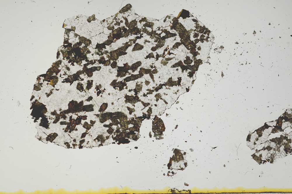 Plane Polarized, S2157