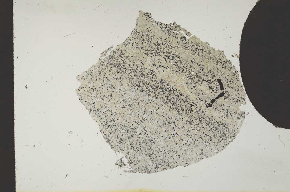 Plane Polarized, S11821
