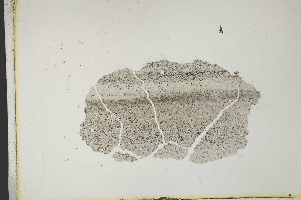 Plane Polarized, S11822