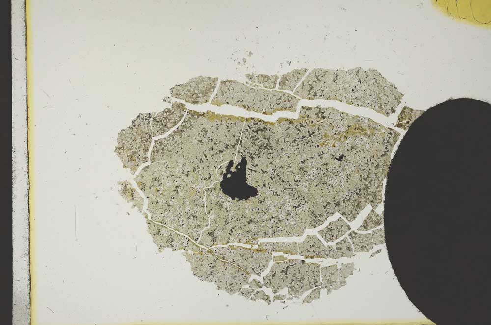 Plane Polarized, S11823