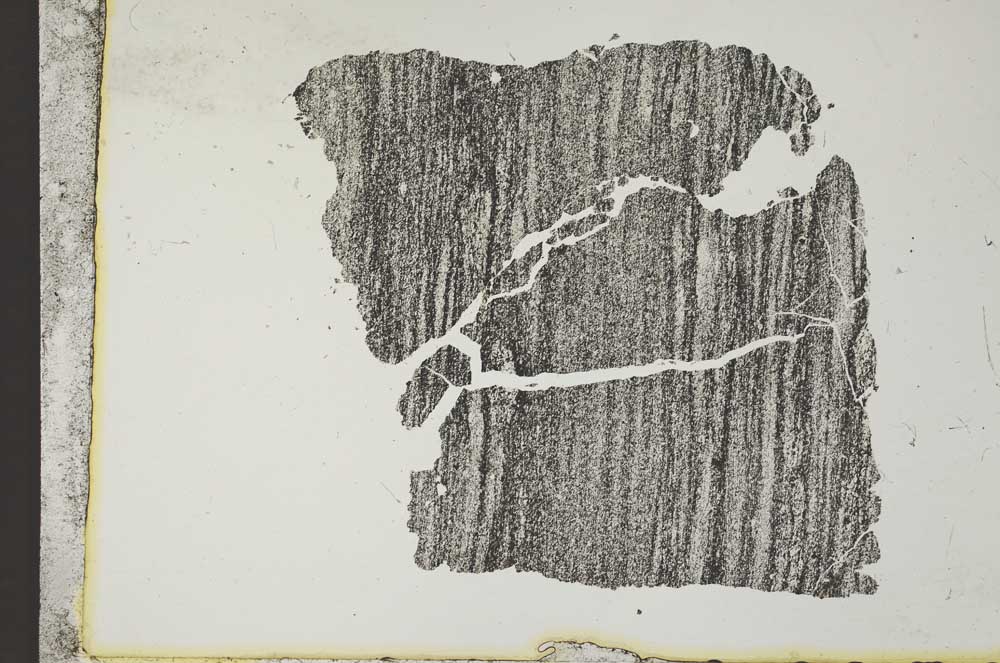 Plane Polarized, S11827
