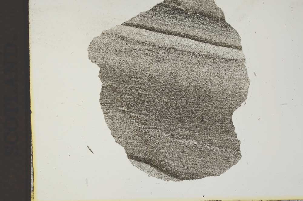 Plane Polarized, S11828