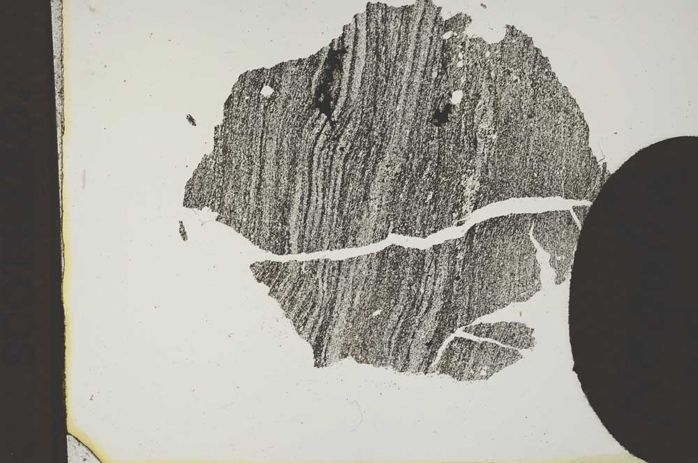 Plane Polarized, S11829