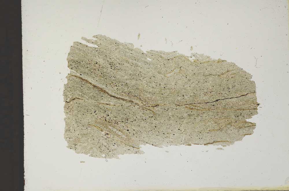 Plane Polarized, S11832