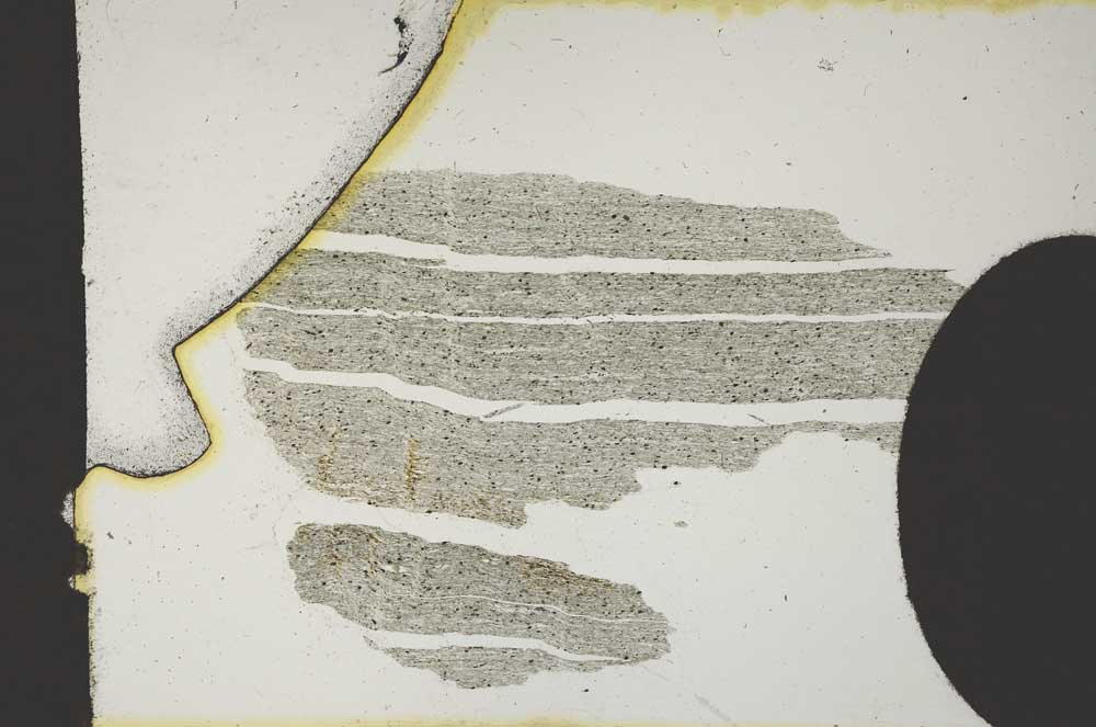 Plane Polarized, S11833