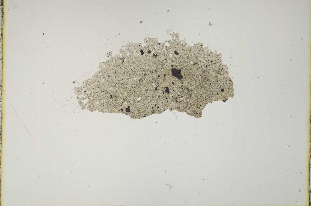 Plane Polarized, S11834