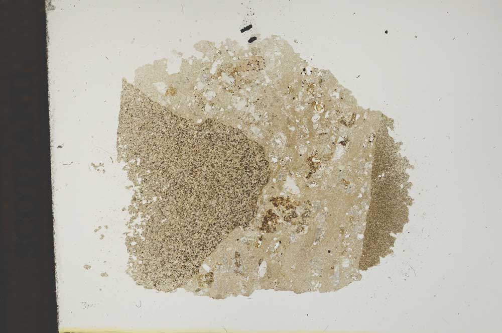 Plane Polarized, S11838