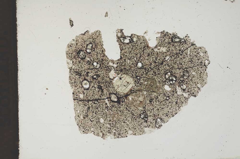 Plane Polarized, S11842