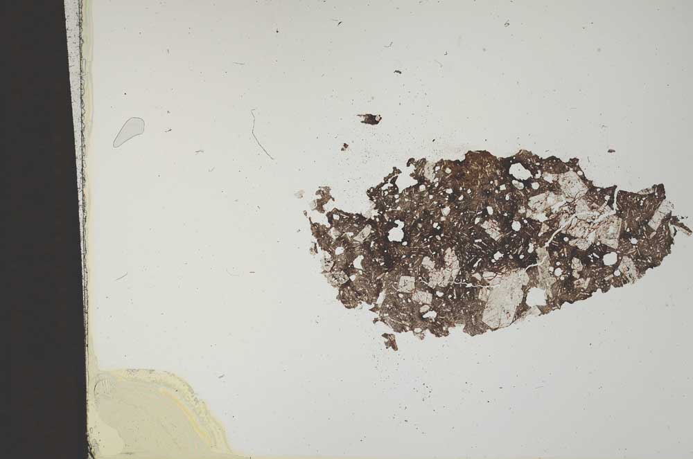 Plane Polarized, S11845