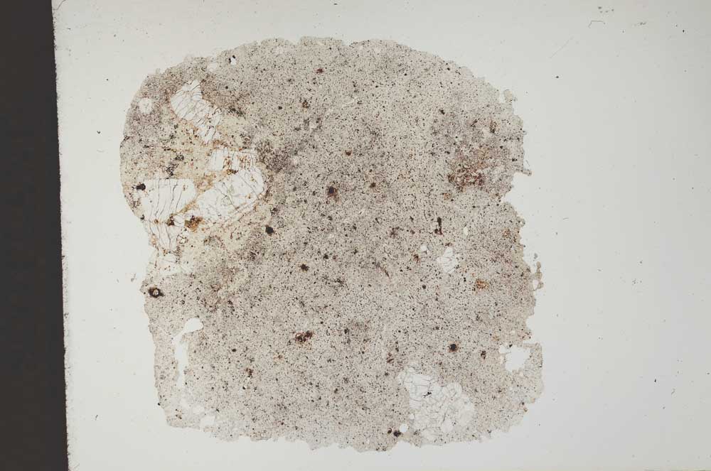 Plane Polarized, S11848