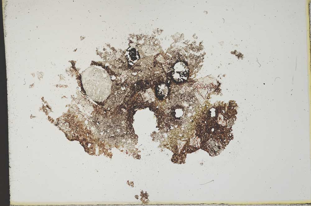 Plane Polarized, S11849