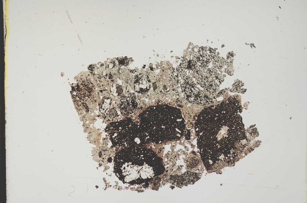Plane Polarized, S11850