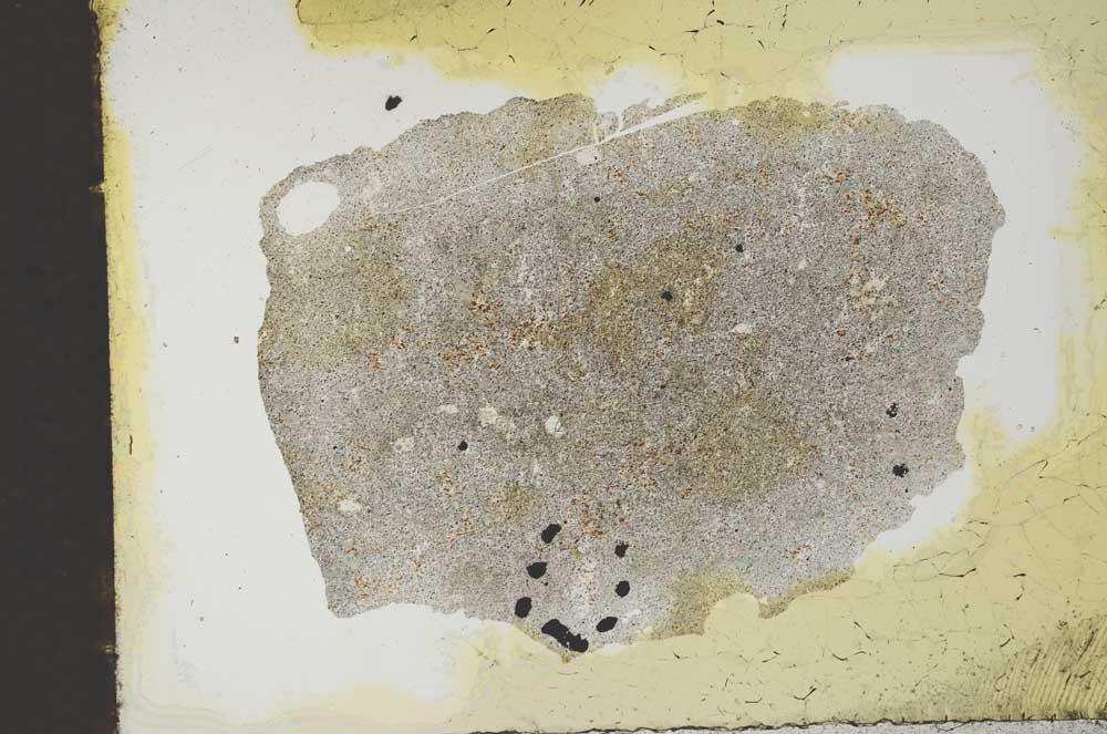 Plane Polarized, S11856