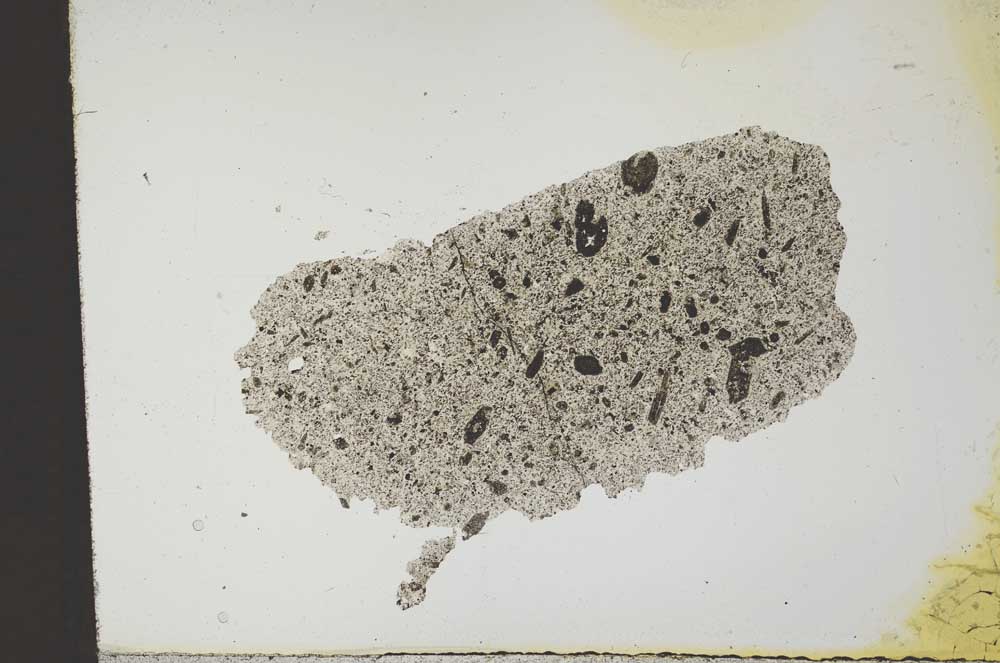 Plane Polarized, S11858