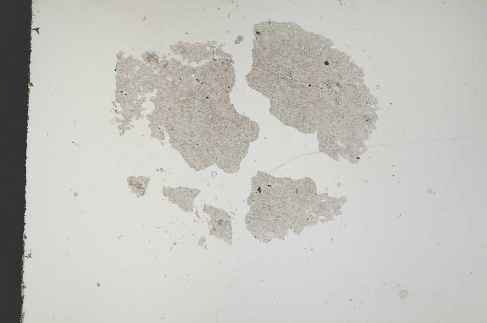 Plane Polarized, S11864
