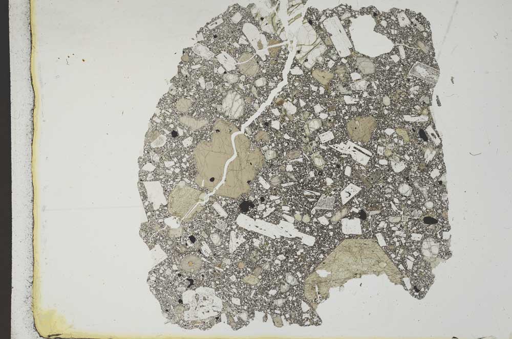 Plane Polarized, S11868