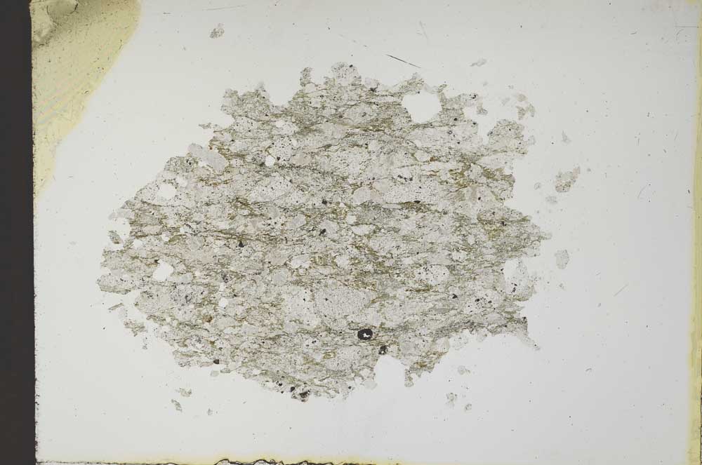 Plane Polarized, S11872