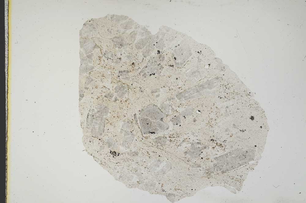 Plane Polarized, S11874