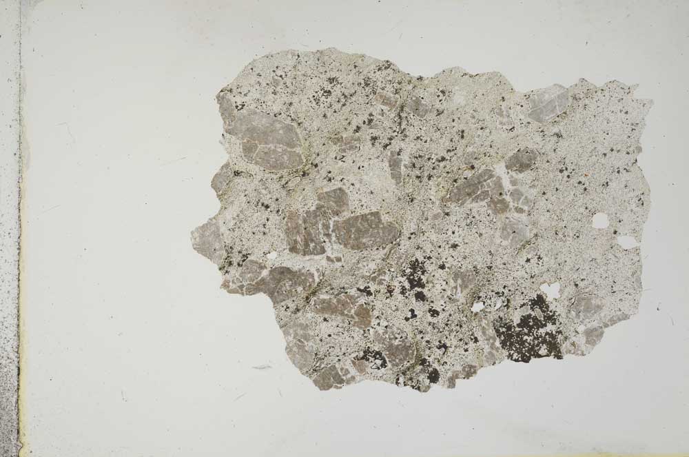 Plane Polarized, S11875