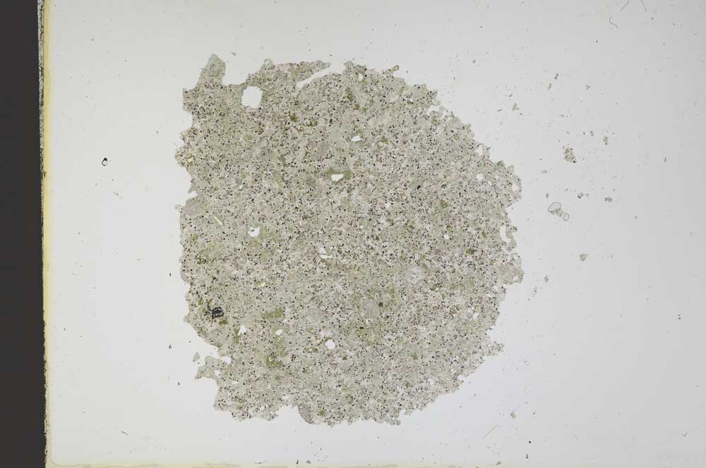 Plane Polarized, S11895