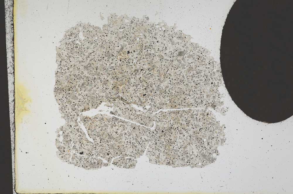 Plane Polarized, S11897