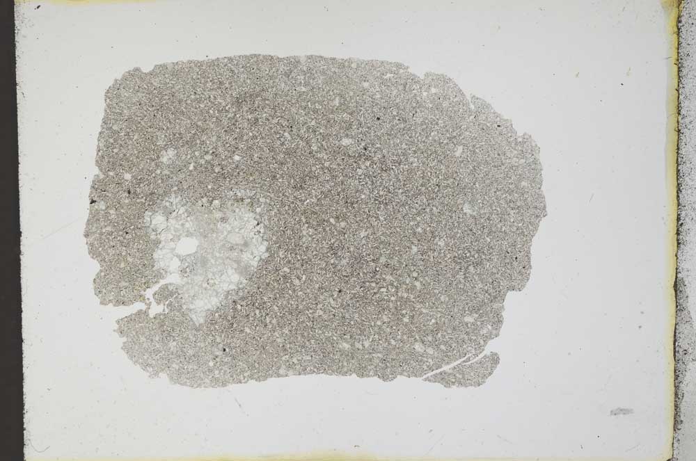Plane Polarized, S11898/a