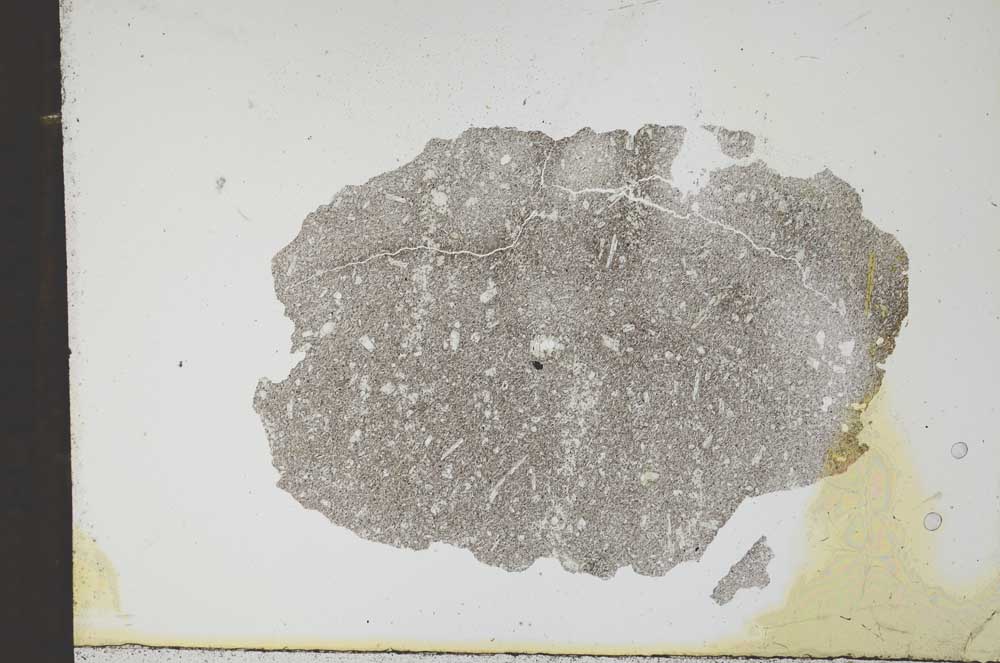Plane Polarized, S11903
