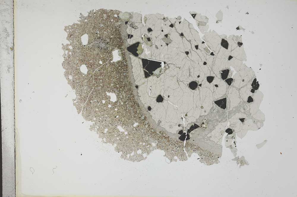 Plane Polarized, S11918
