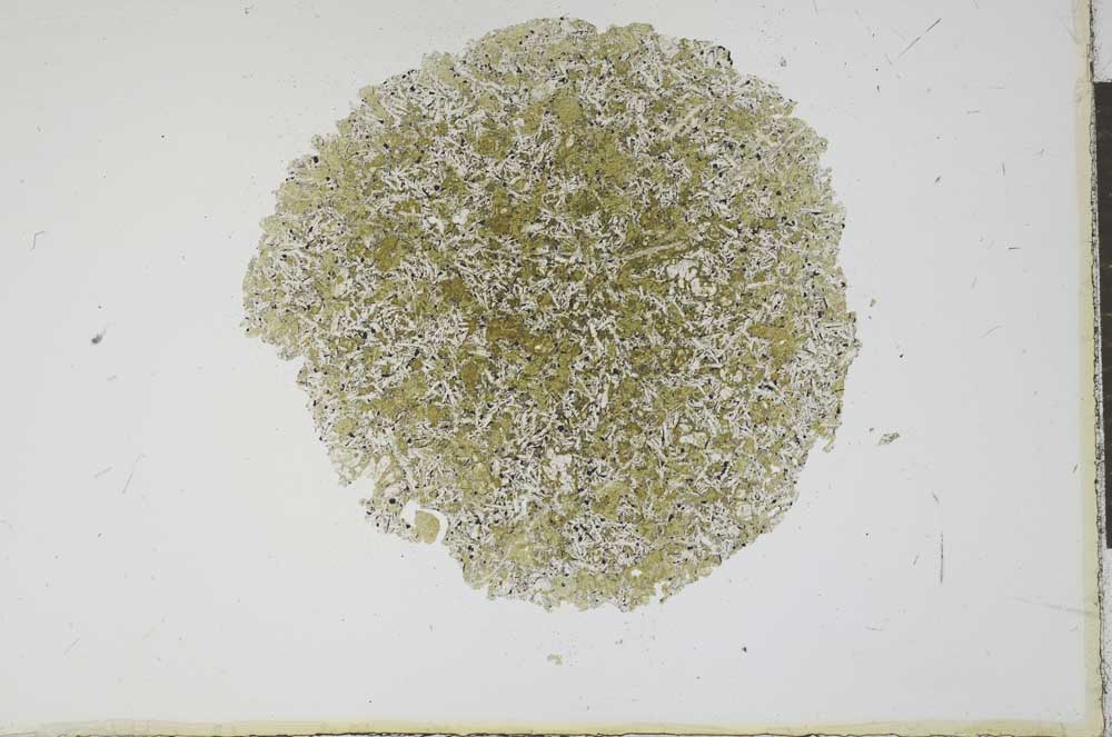 Plane Polarized, S11923