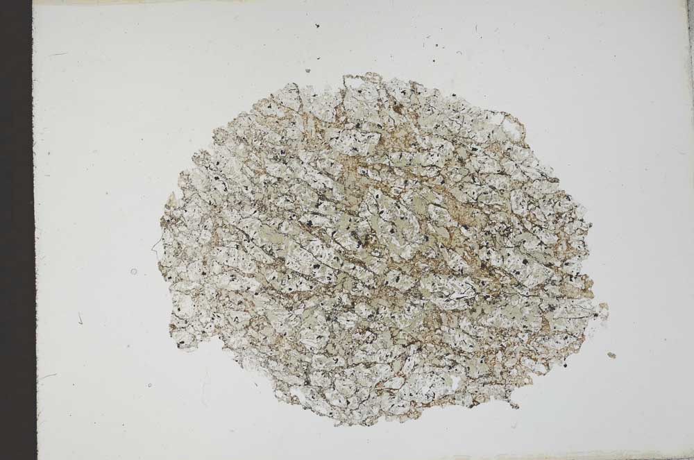 Plane Polarized, S11925