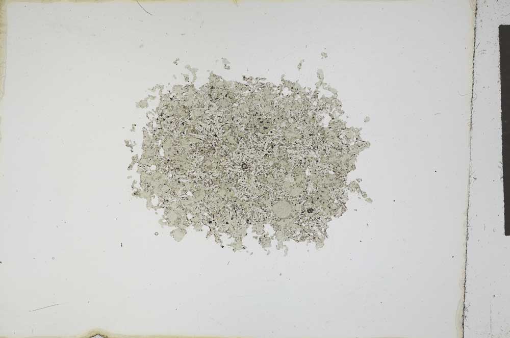 Plane Polarized, S11926