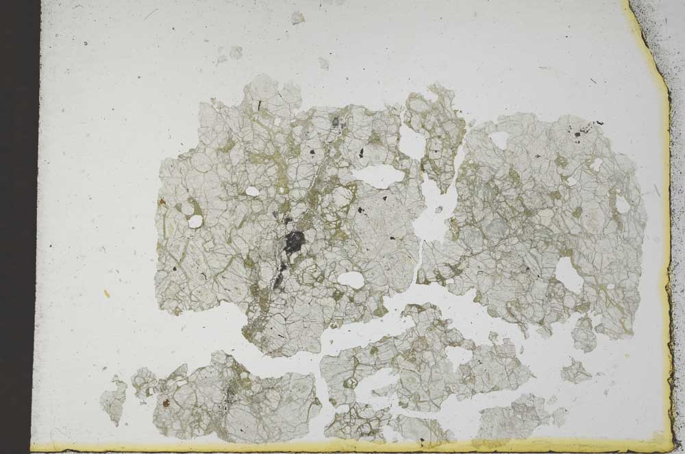 Plane Polarized, S11942