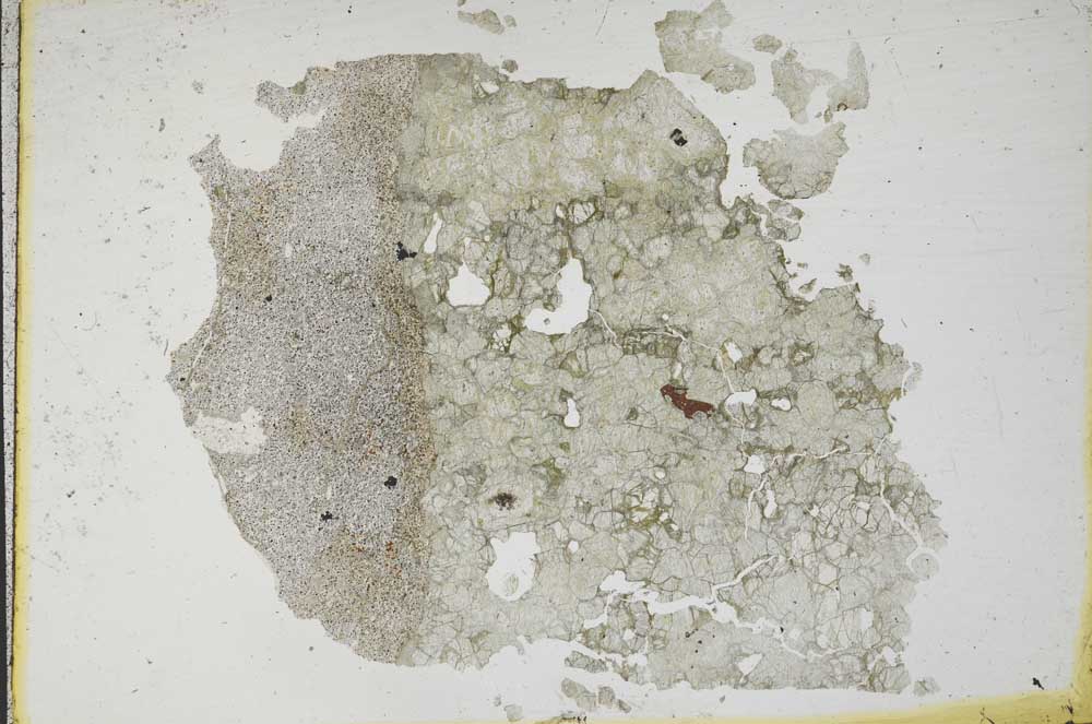 Plane Polarized, S11943