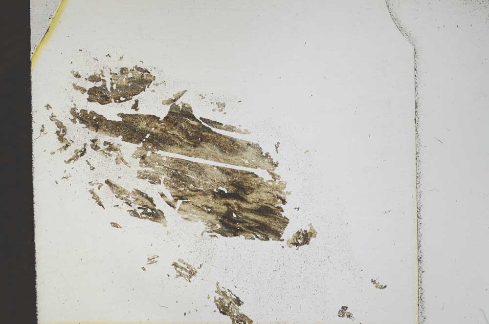 Plane Polarized, S11946