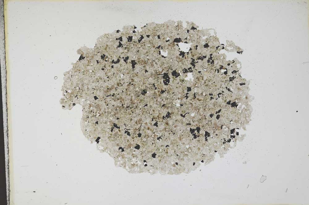 Plane Polarized, S11964