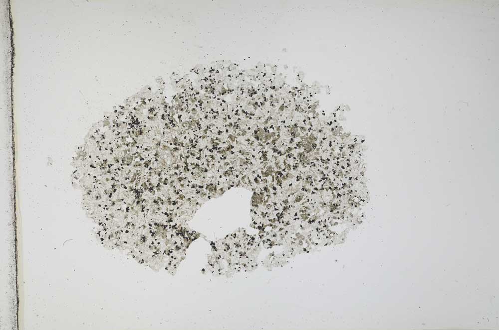 Plane Polarized, S11965
