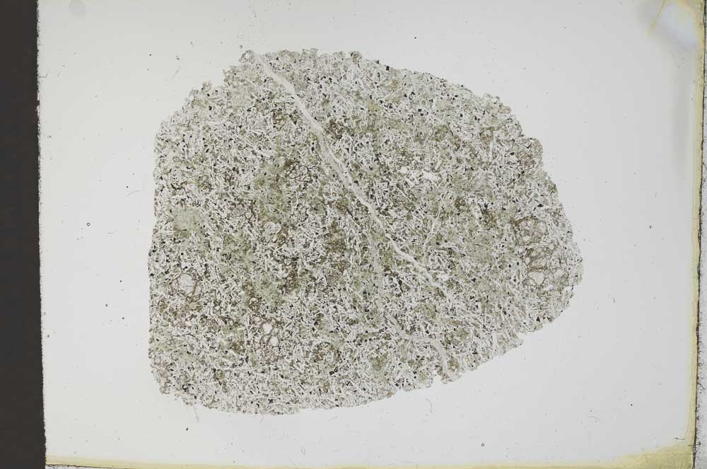 Plane Polarized, S11980