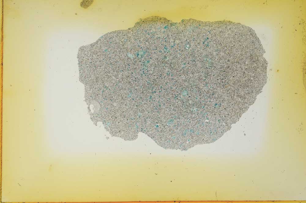 Plane Polarized, S11981/A