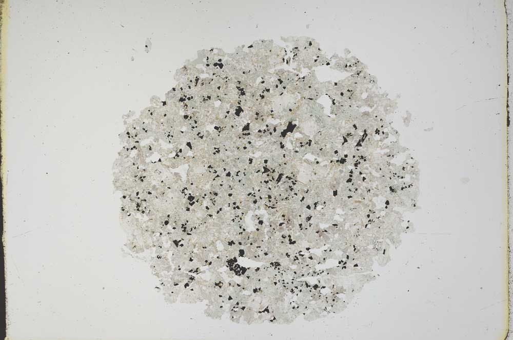 Plane Polarized, S11982