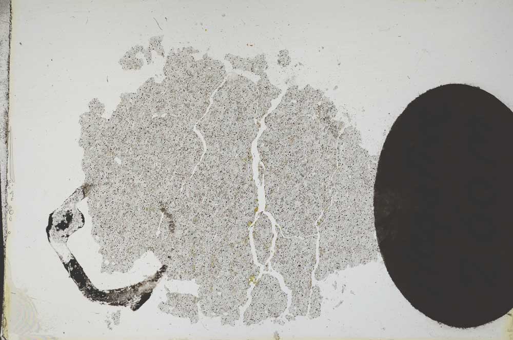 Plane Polarized, S11986