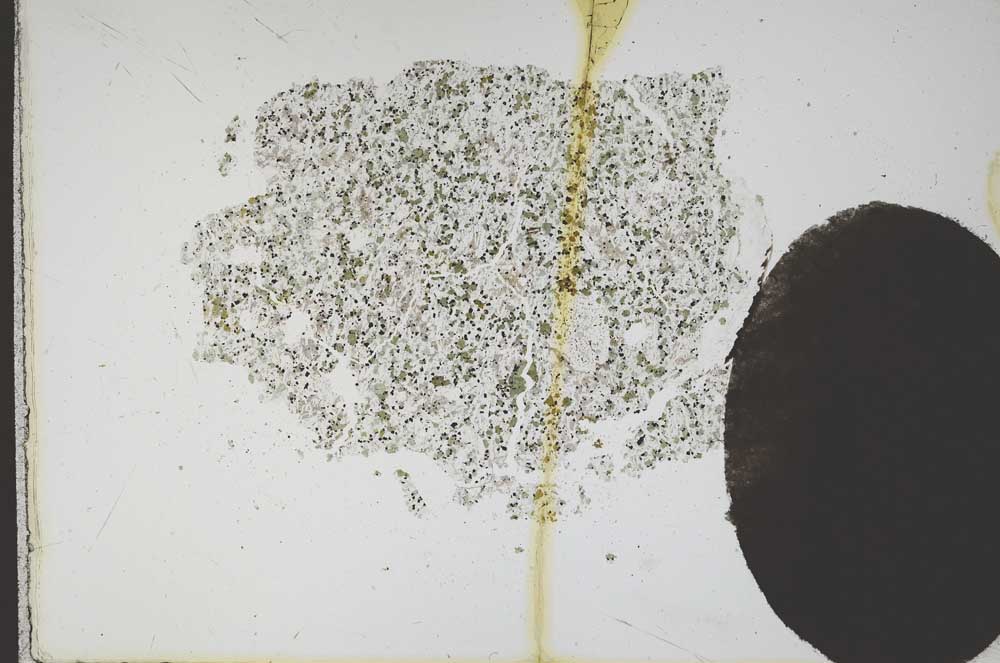 Plane Polarized, S11989